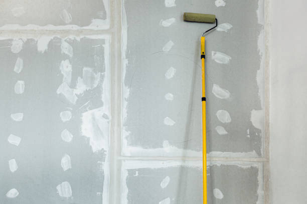 Mold Removal for HVAC Installations in Elmendorf, TX