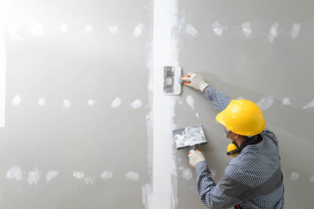 Best Biohazard Mold Removal  in Elmendorf, TX