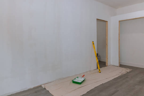 Best Water Damage & Mold Remediation  in Elmendorf, TX