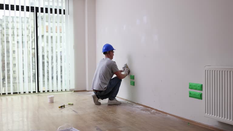 Best Mold Damage Restoration  in Elmendorf, TX